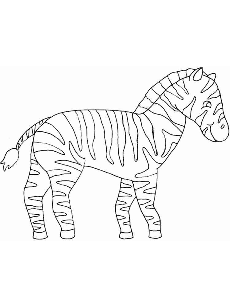 raskraski-zebra-17