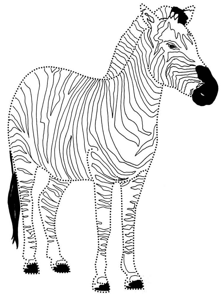 raskraski-zebra-9